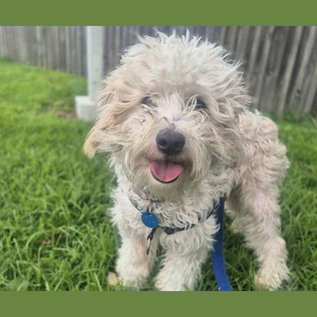 Photo of Maggie May