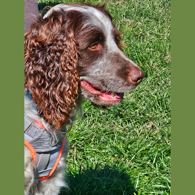 Photo of Max