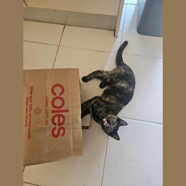 Photo of Jane (Now Maggie)