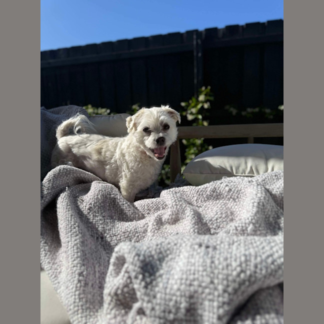Photo of Max