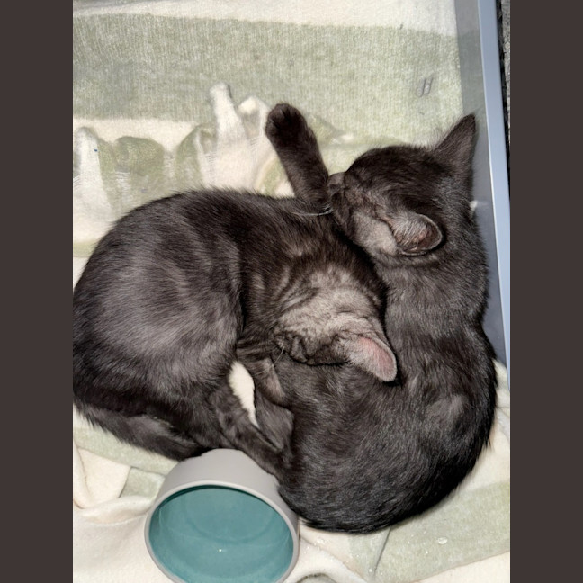 Photo of Danny (With Kenickie)