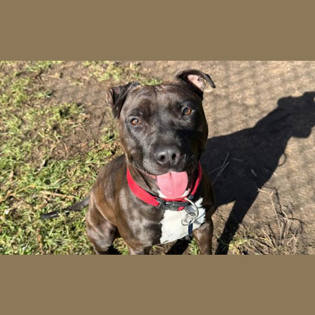 Photo of Miss Mable