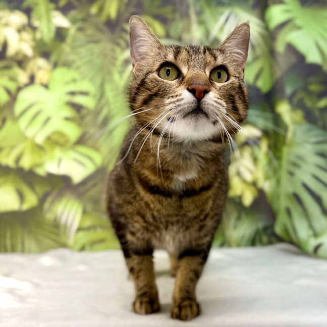 Photo of Abby   Located In Preston