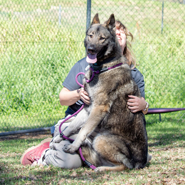 Photo of Kona