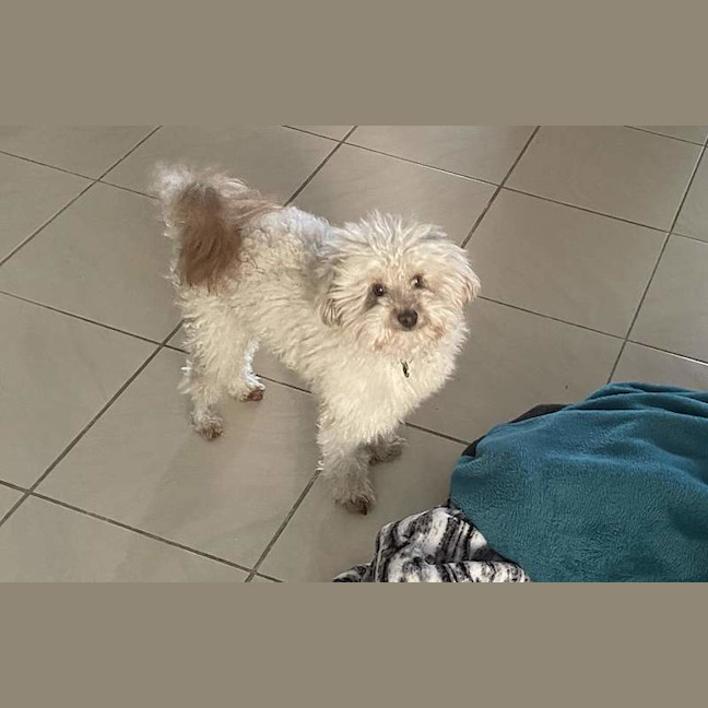 Photo of Sammy