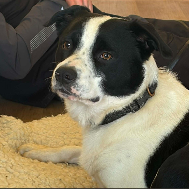 Photo of Tux