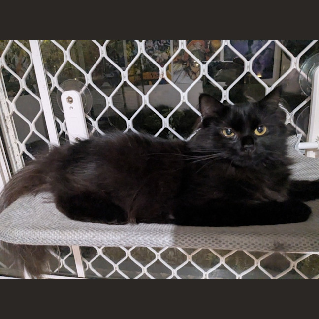 Photo of Belle