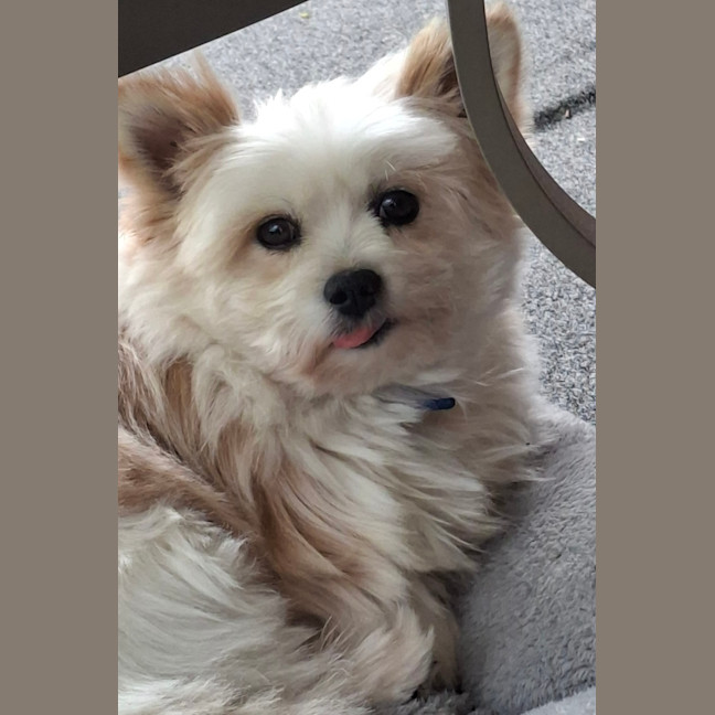 Photo of Bert