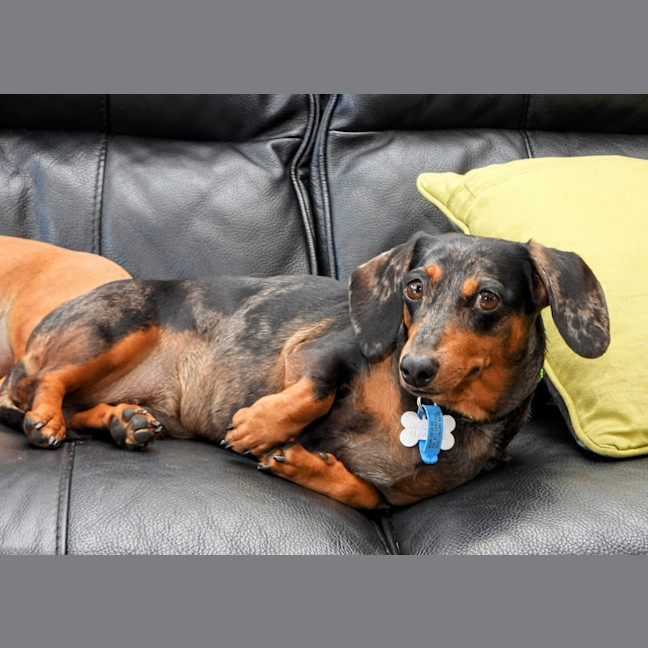 Photo of (Titch) Roxie