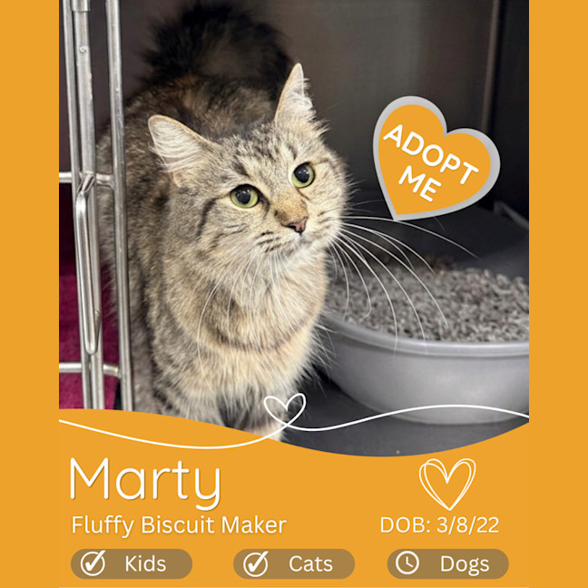 Photo of Marty 