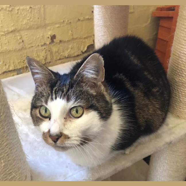 Photo of Beautiful Betty!