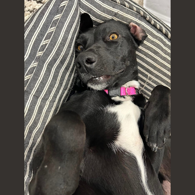 Photo of Good Golly Miss Molly