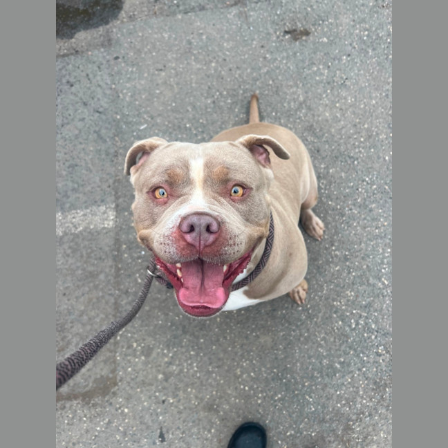Photo of Luna