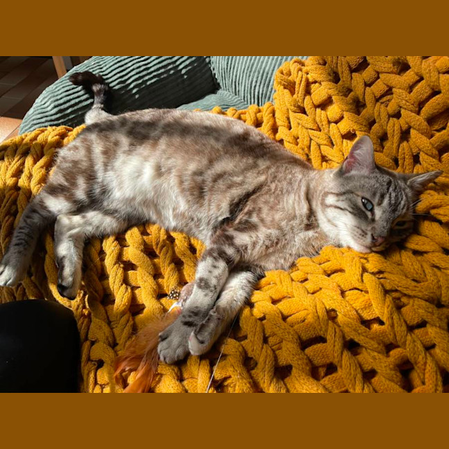 Photo of Vivienne 