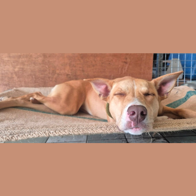 Photo of Tammy