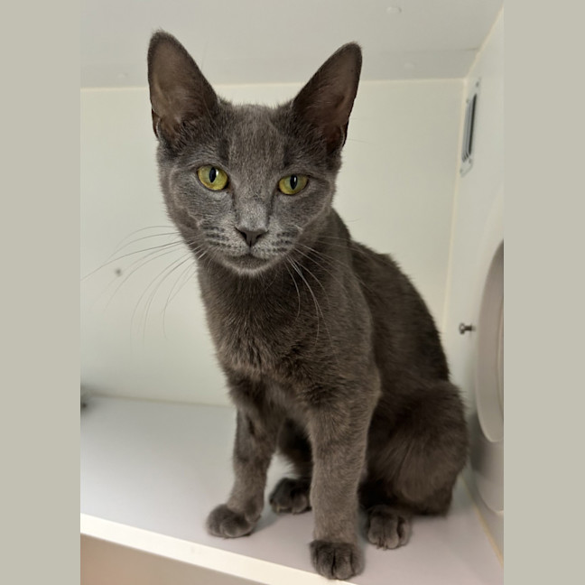 Photo of Daria (Bonded To Jane)