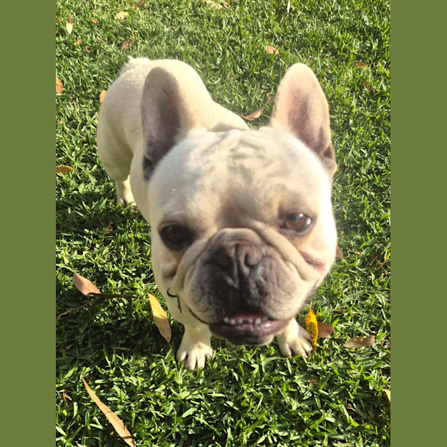 Photo of Louis