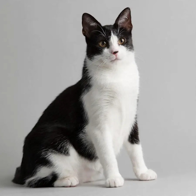 Photo of Kiki