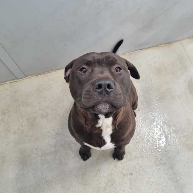 Photo of Zeus