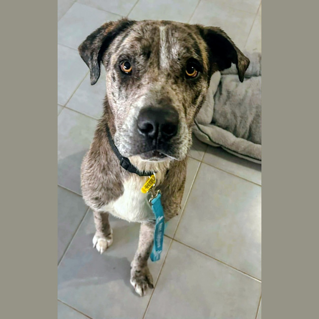 Photo of Patch