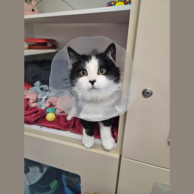 Photo of Timmy
