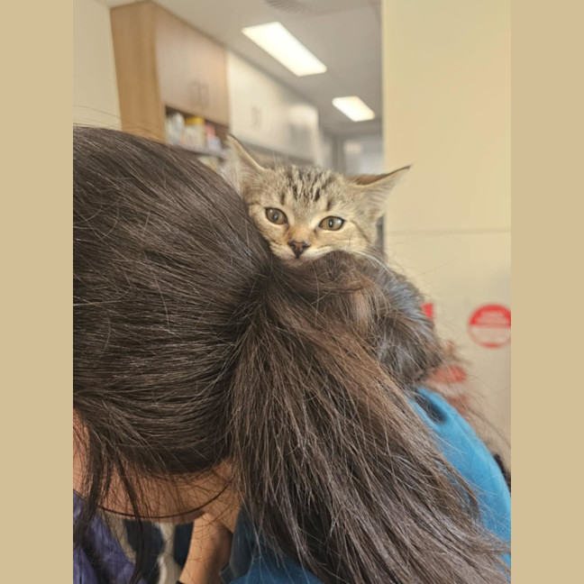 Photo of Margot   Located In Templestowe