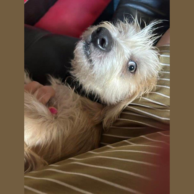 Photo of Georgie O'cleary