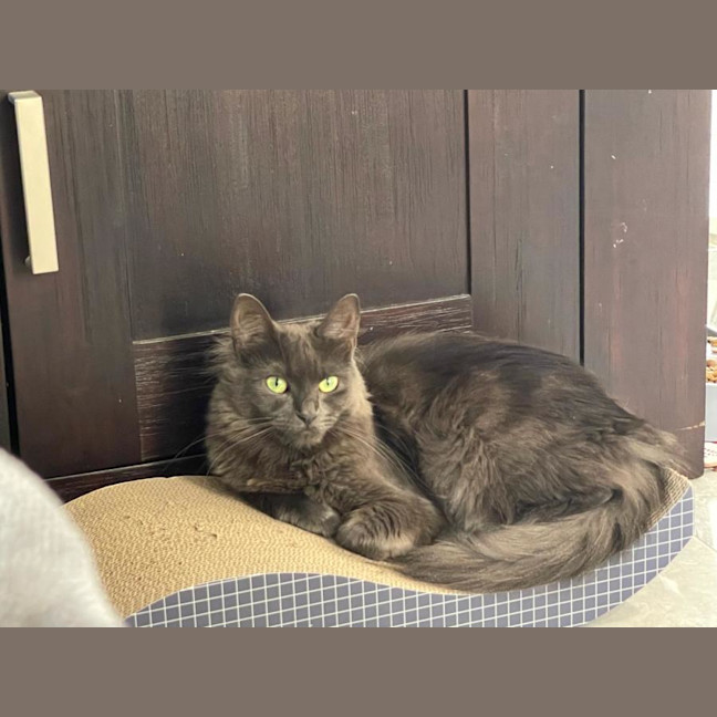 Photo of Hazel