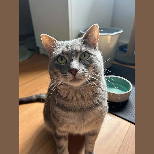 Photo of Vincent