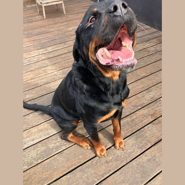 Photo of Zeus