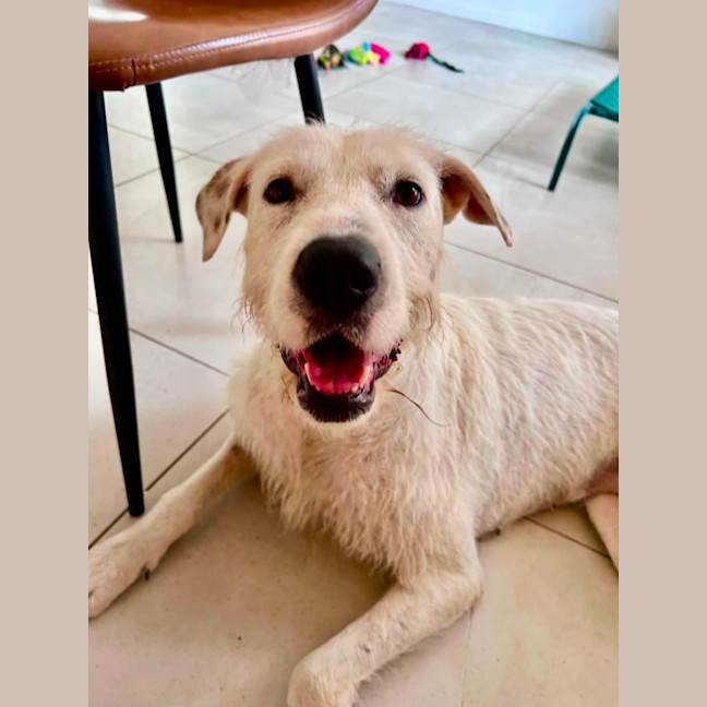 Photo of Betty 