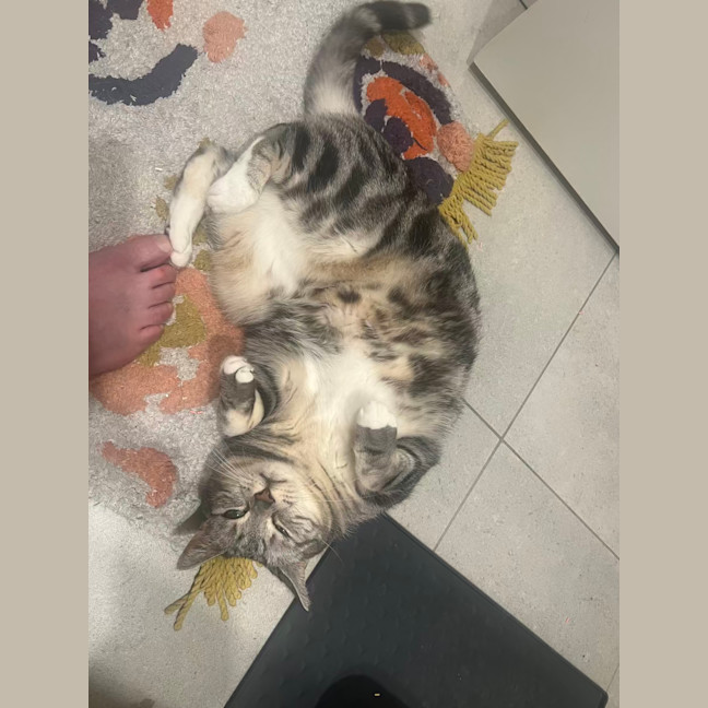 Photo of Sadie