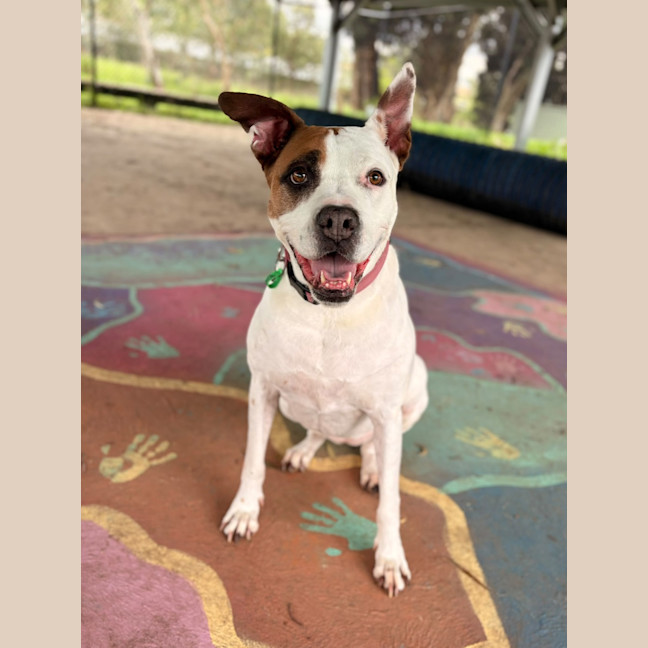 Photo of Lola