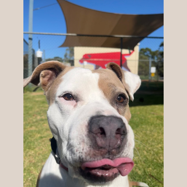 Photo of Mia