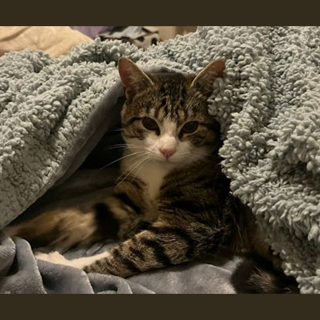 Photo of Chou Chou