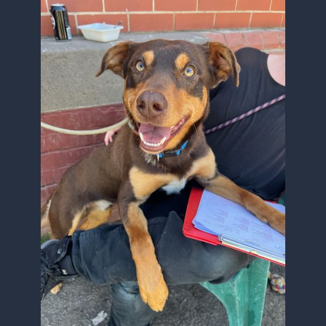 Photo of Tom