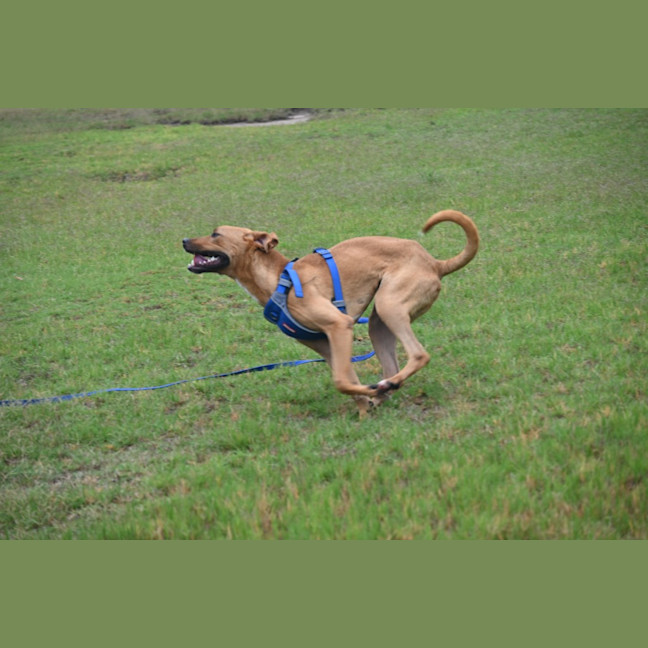 Photo of Max