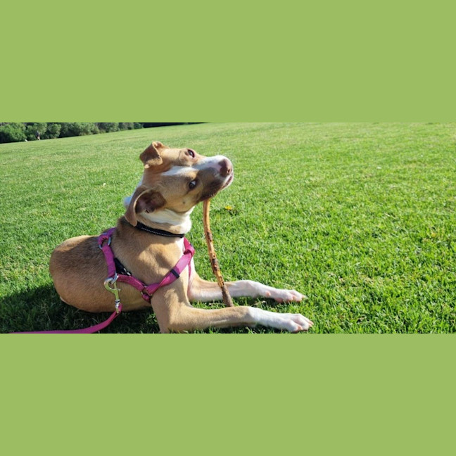 Photo of Ellie Valenti