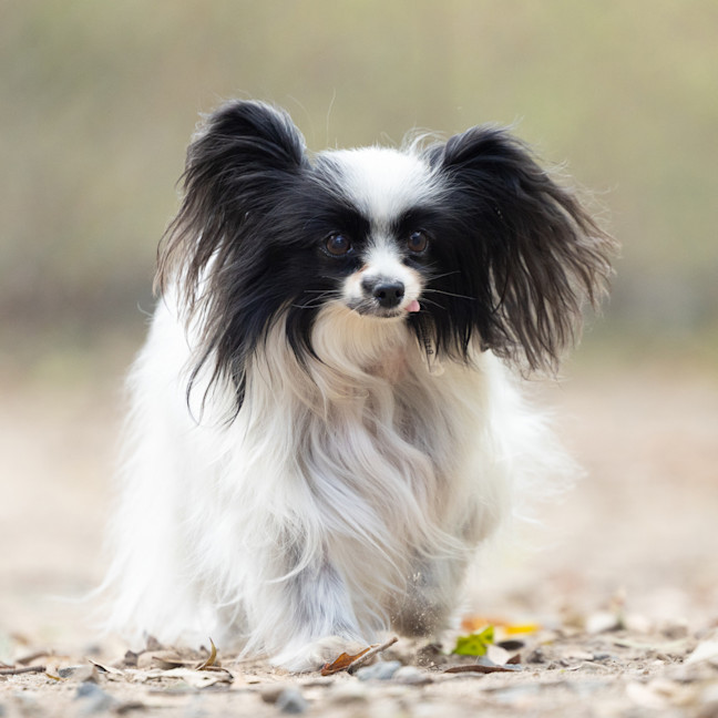 Photo of Grace