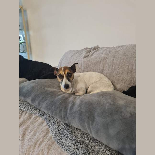 Photo of Jake