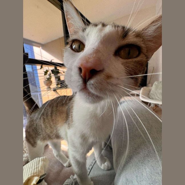 Photo of Tink & Bella 