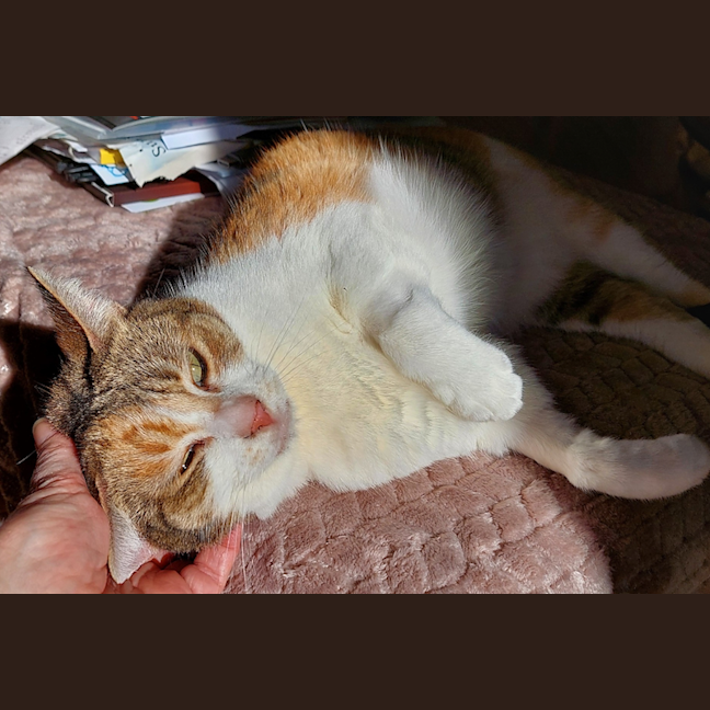 Photo of Princess