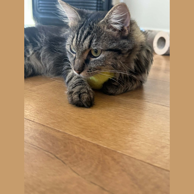 Photo of Thomas