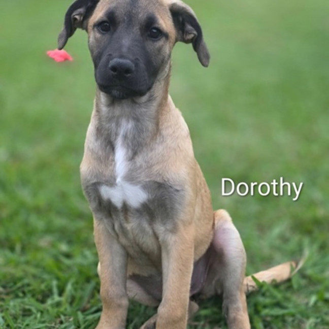 Photo of Dorothy