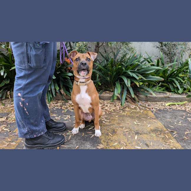 Photo of Maxi