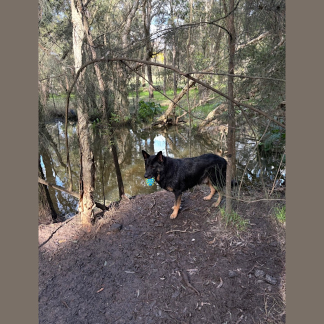 Photo of Max