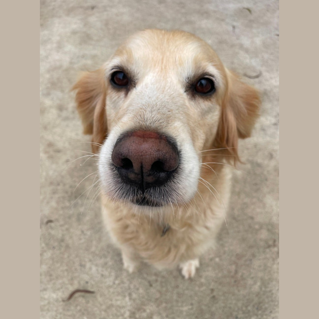 Photo of Misty
