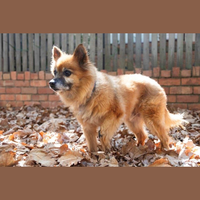 Photo of Maxy O’cleary