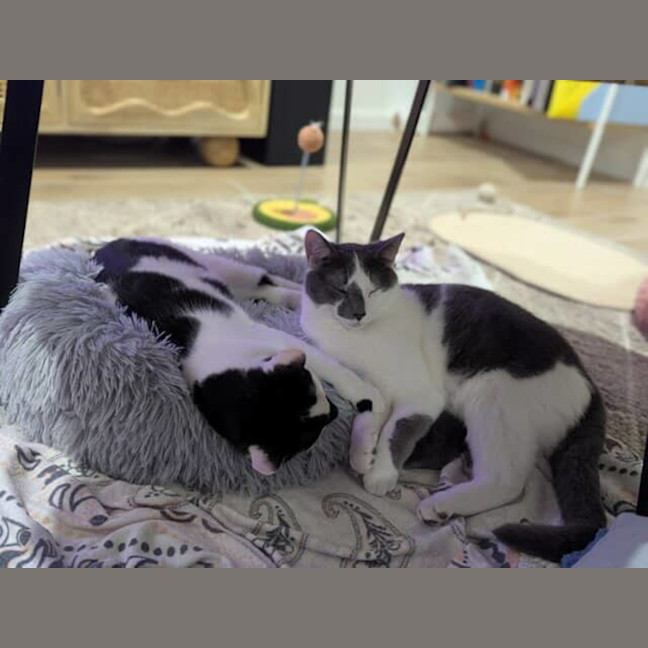 Photo of Jerry & Ziggy