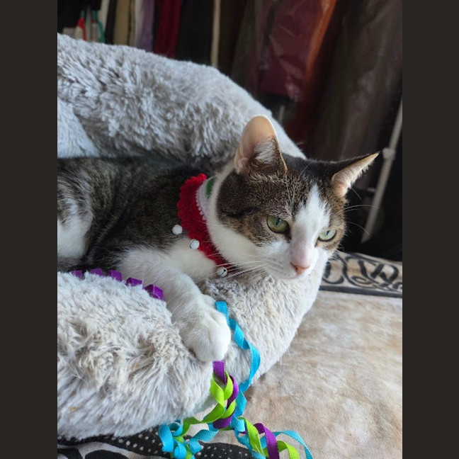 Photo of Molly / Milly